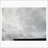 ７月２９日　７月の最終週が始 ...