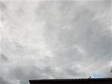 ７月２９日　７月の最終週が始まる月曜日、おはよ～♪