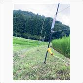 底辺農家の手探り稲作8 