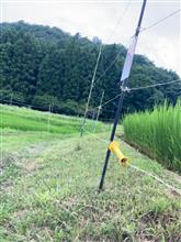 底辺農家の手探り稲作8 