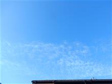 ７月３０日　いい天気になりそうな火曜日、おはよ～♪