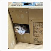 あっという間に、7月も終わる