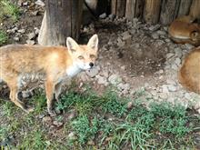 北の旅　続編 ３ 終