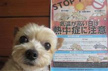 ☀️😵💦雨雲ははるか山の彼方に😩