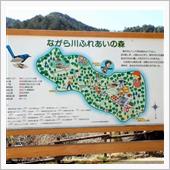 ついに野鳥撮影で県を跨いだ