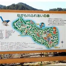 ついに野鳥撮影で県を跨いだ