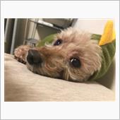 みんカラ：モニターキャンペー ...