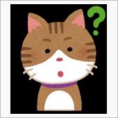 どっちなんだい？(なかやまき ...