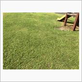 公園草刈りの日