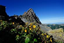 憧れの槍ヶ岳登山④
