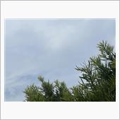 お天気は曇り🌥️❓
