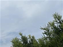 お天気は曇り🌥️❓