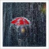 雨の降り方が昔と変わってきた ...