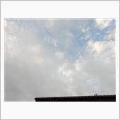 ８月７日　やっと折り返し感が ...