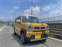チャーハンとネイルのために静岡行った