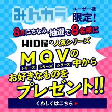 HID屋人気シリーズ❤️