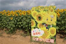 津南ひまわり広場