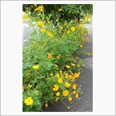 一足先に盆休みです〰️♪