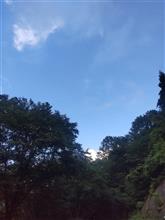 8月の釣り