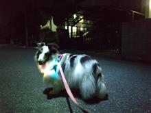 今日から夏休み