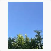 今日も