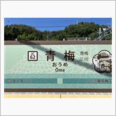 コミケの日の駅。