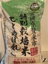 今年は。。。