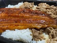 今日もうなぎに
