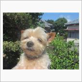 今日も大変暑かった☀️😵💦