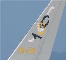 イタリア空軍が小牧へ・・・土曜日の待ち伏せ (*^^*)