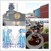 吹っ飛ばされても・・大丈夫　 ...