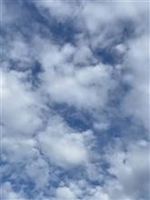 朝は❓ちょっとだけ涼しい