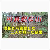 武甲山