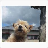 今日も真夏日になりました☀️ ...