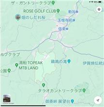 またしても信楽で熊が出た
