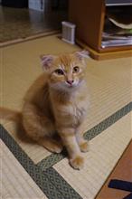 二週間で、こんなにデカくなるんかよ？