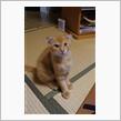 二週間で、こんなにデカくなるんかよ？