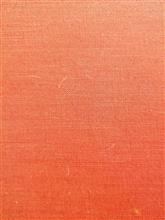 今更・・・『張込み』を読む