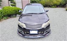 今日は一日中ダルダル