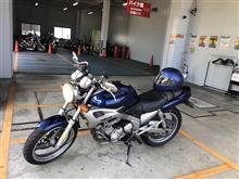 惜別…と出会い。