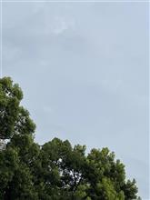 雨❓降る