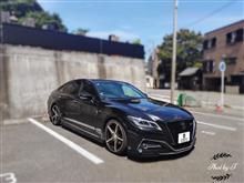 やっとお墓参り🙏