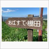 姨捨　高ボッチの帰り道　8／ ...