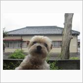 しとしと雨☔