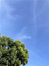 秋🍂の空❓