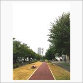 昨日の豪雨と今にも降りそうな ...