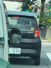 夏の融脳者