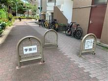 元代々木から奥渋　東京地形散歩