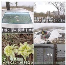 爽やか❢「遥かな尾瀬」 🏔 ヨッピ川の吊り橋 東電小屋『尾瀬銀座 』弥四郎小屋 ^^!