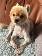 意思の悪さ